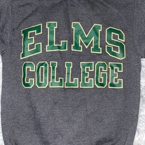 Elms college champion pullover